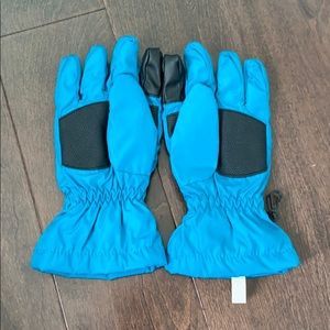 The north face gloves